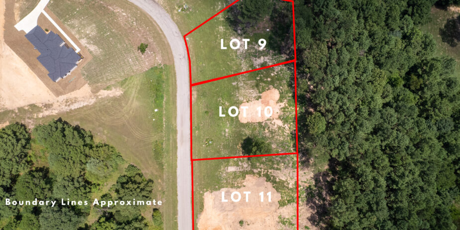 Lot 10